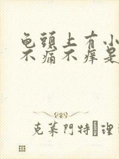 龟头上有小红点不痛不痒是怎么回事