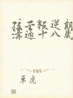 孩子叛逆期如何沟通十八岁的男孩儿