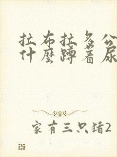 拉布拉多公狗为什么蹲着尿