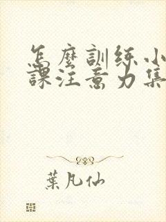 怎么训练小孩上课注意力集中