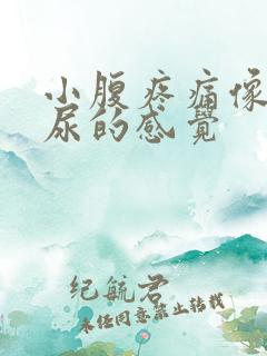 小腹疼痛像憋了尿的感觉