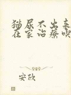 猫尿不出来怎么在家治疗吃什么药