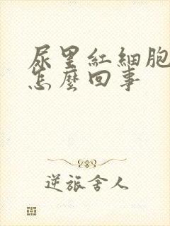 尿里红细胞高是怎么回事