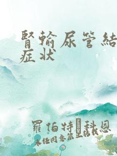 肾输尿管结石的症状