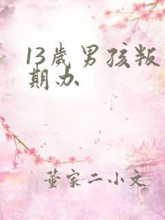 13岁男孩叛逆期办