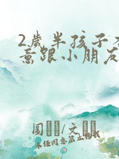 2岁半孩子不愿意跟小朋友玩