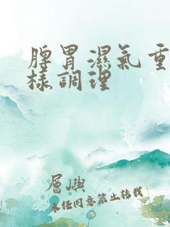 脾胃湿气重怎么样调理