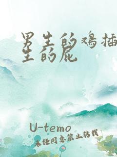 男生的鸡插进女生的屁