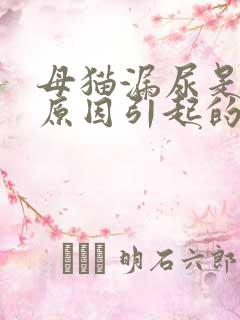 母猫漏尿是什么原因引起的