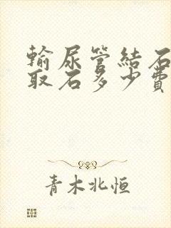 输尿管结石软镜取石多少费用