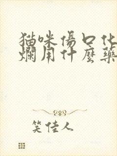 猫咪伤口化脓溃烂用什么药