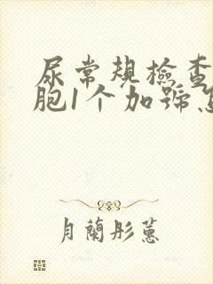 尿常规检查白细胞1个加号怎么回事