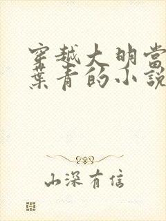 穿越大明当县令叶青的小说