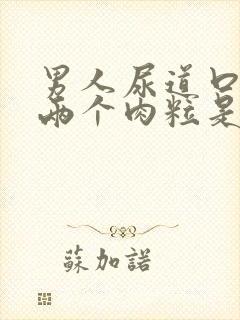 男人尿道口长了两个肉粒是怎么回事