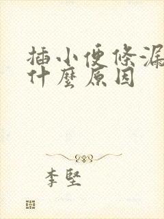 插小便条漏尿是什么原因