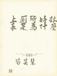 上厕所时拉出血来是为什么