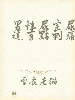 男性尿完尿后尿道有点刺痛还想尿