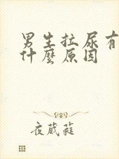 男生拉尿有血是什么原因