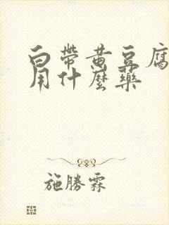 白带黄豆腐渣状用什么药