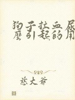 狗子拉血尿是怎么引起的用什么治疗