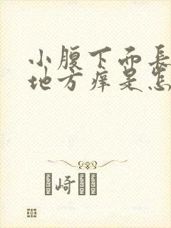 小腹下面长毛的地方痒是怎么回事