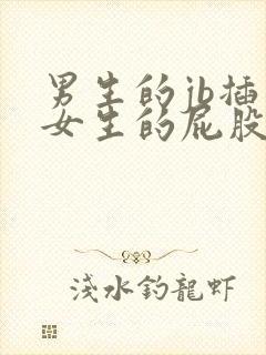 男生的jb插入女生的屁股里视频软件