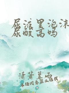 尿液里泡沫多是尿酸高吗