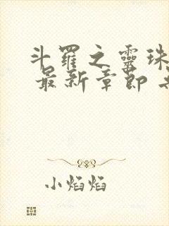 斗罗之灵珠神剑 最新章节 无弹窗