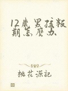 12岁男孩叛逆期怎么办