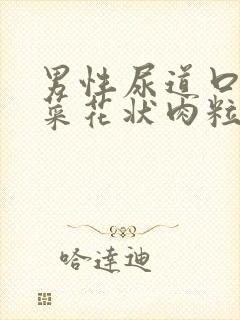 男性尿道口长出菜花状肉粒