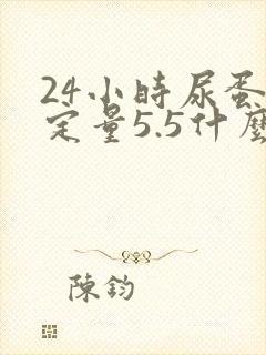 24小时尿蛋白定量5.5什么意思