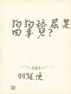 狗狗舔尿是怎么回事儿?