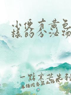 小便有黄色渣渣样的分泌物