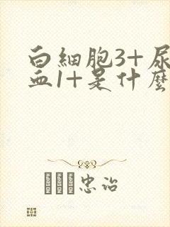 白细胞3+尿潜血1+是什么意思