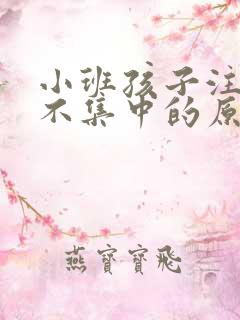 小班孩子注意力不集中的原因