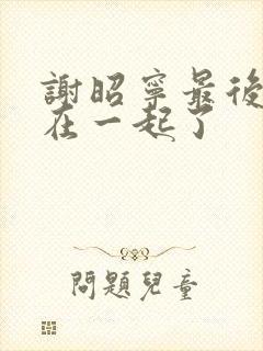 谢昭宁最后和谁在一起了