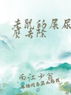 老鼠的屎尿味怎么去除