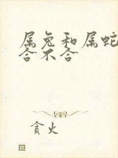 属兔和属蛇婚姻合不合