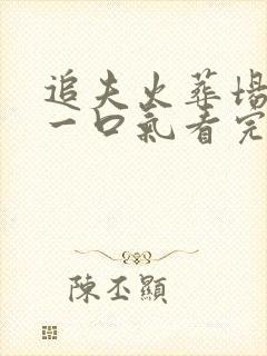 追夫火葬场小说一口气看完