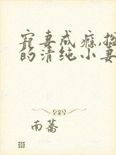 宠妻成瘾,总裁的清纯小妻