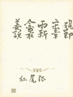 姜念雨宋砚驰小说最新章节免费阅读