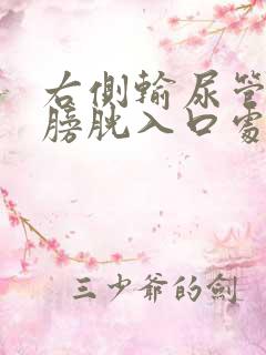 右侧输尿管下段膀胱入口处结石