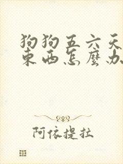 狗狗五六天不吃东西怎么办