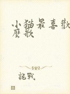 小猫最喜欢听什么歌