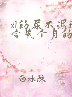 xl的尿不湿适合几个月的宝宝