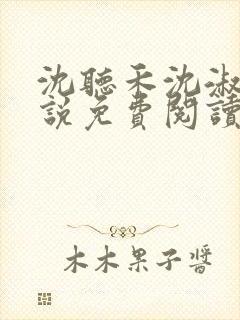 沈听禾沈淑晴小说免费阅读最新章节