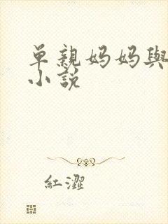 单亲妈妈与儿子小说