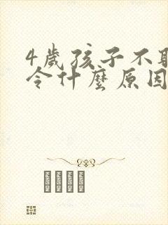 4岁孩子不听指令什么原因