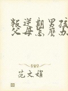 叛逆期男孩打骂父母怎么办