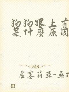 狗狗眼上有眼屎是什么原因